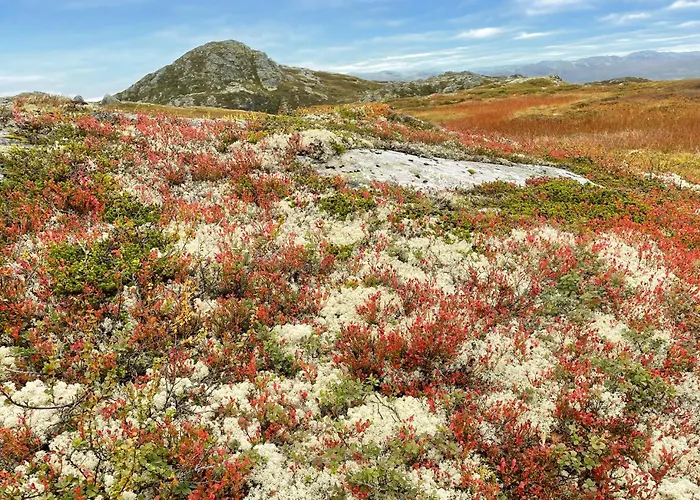 4 Bedroom Gorgeous In Rauland