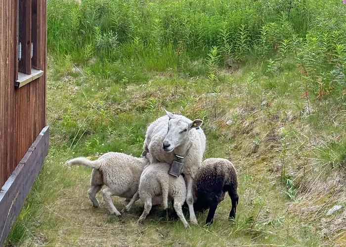 4 Bedroom Gorgeous In Rauland